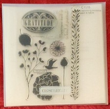 My Acrylix Close to my Heart C1515 Season  Nature Flirty Scrapbooking Workshop