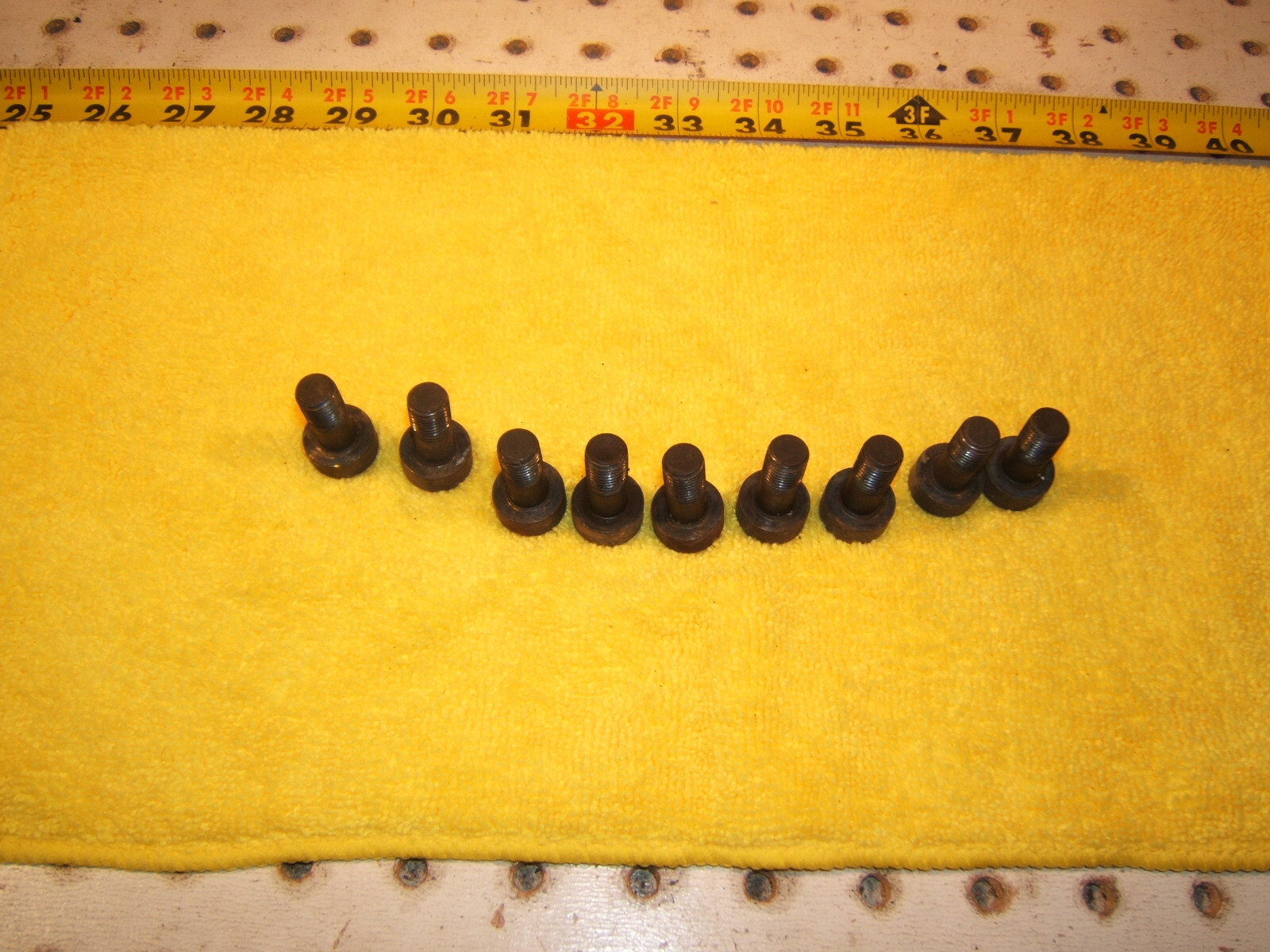 Picture 12 of 12
