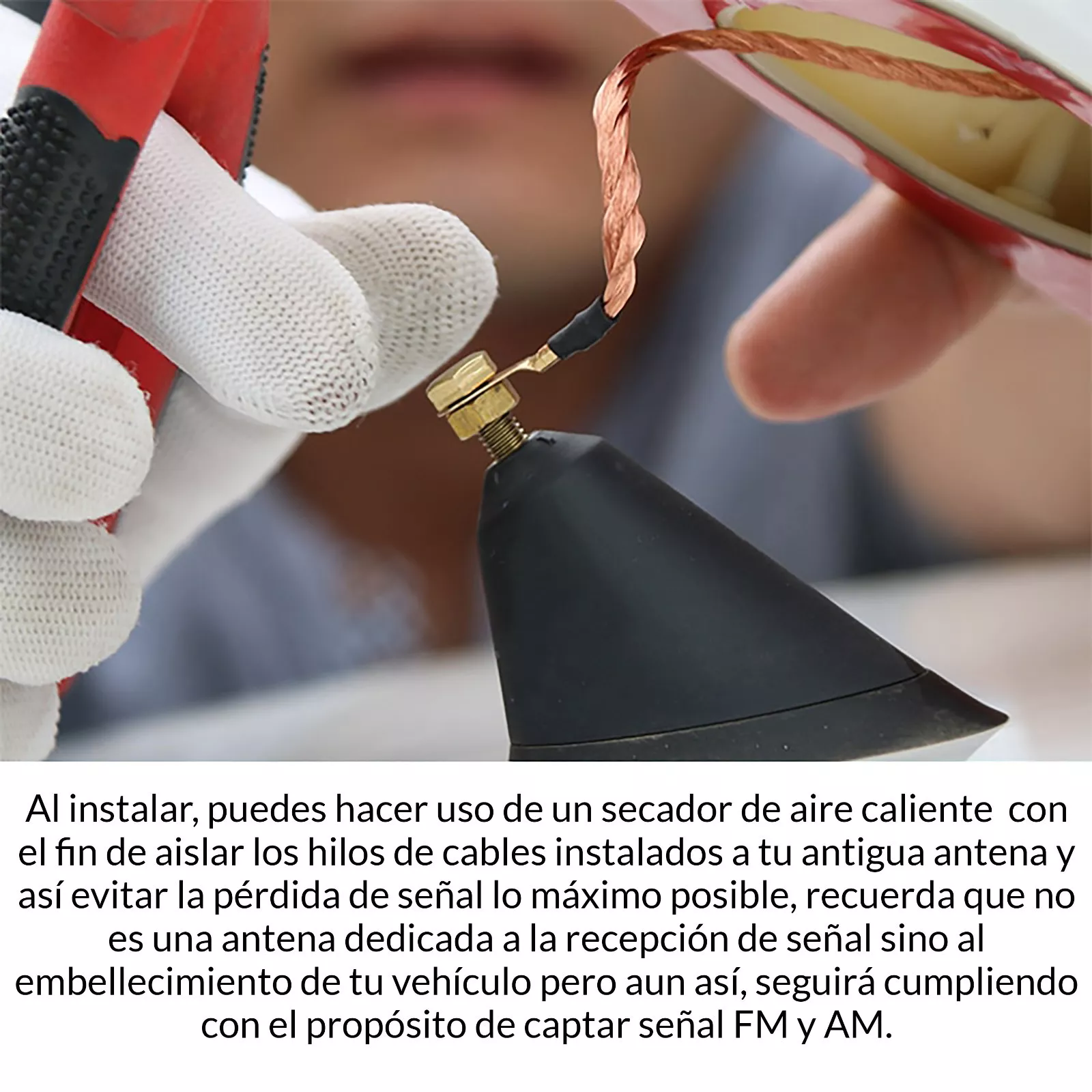 Imagen 8 de 28
