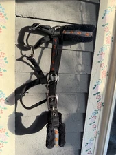 Horze Halloween Halter Black with Black Fleece and Pumpkins