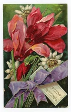 Vintage Postcard Birthday Flower Bouquet  Posted 1909 Stamp Shiny