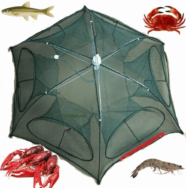 fishing bait for sale