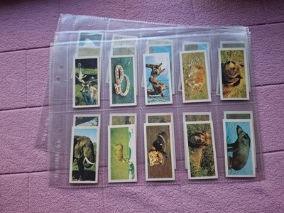 KOMPLETTSATZ - GOODIES - WILD LIFE etwas Toning über GD ein paar FR