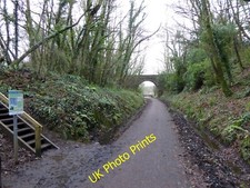 Photo 12x8 Tarka Trail near Beam House Great Torrington The trail is a for c2015