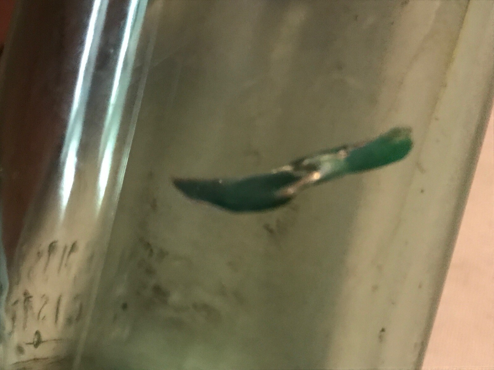 Curran & Joyce Co. Inc. 8 oz. Vintage Bottle, Lawrence, Massachusetts eBay