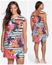Eliza J 10 12 Multi Color Floral Blue Stripe dress Sheath Career Cocktail Cap Sl