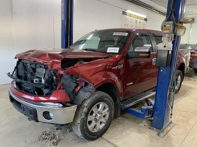 Seat Belt Front Bench 40/20/40 Passenger Fits 09-14 FORD F150 PICKUP 948682
