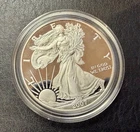 2007 W Proof $1 American Silver Eagle Coin Encapsulated