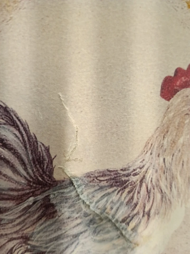 Pequeña pantalla de lámpara de gallo pequeña pantalla de mesa Foto 4 de 4