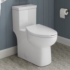 Classe 1-Piece 1.1 GPF/1.6 GPF Dual Flush Elongated Toilet in White, Seat Includ