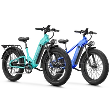  26" Fat Tire 1800W Electric Bike 48V 17.5Ah Ebike Mountain Bicycle for Adult