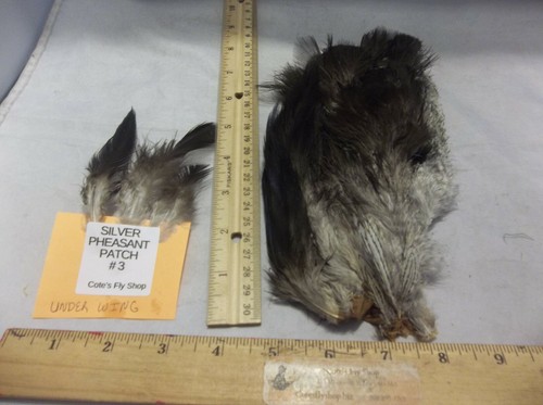 Silver Pheasant feathers patches Natural Zucker Feather (TM) black & white - Picture 6 of 30