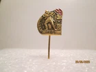 Fire Department MACE Croatia  pin
