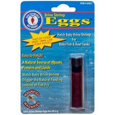 San Francisco Bay Brand Brine Shrimp Eggs 6 gram Jar Easy Hatch Live Fish Food