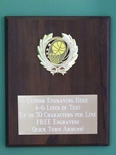 Basketball or other SPORT Award Plaque 8x10 Trophy FREE custom engraving