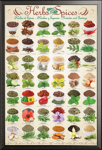 Küche - Kräuter & Gewürze - Poster Plakat Druck - Größe 61x91,5 cm - Bild 20 von 21
