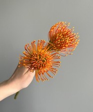 Artificial Chrysanthemum Fall Flowers 22'' Faux Pincushion Flower