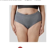 Women’s Thinx For All Period Briefs Gray XS NIB