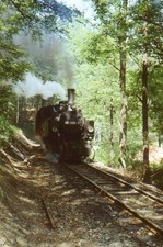 Originaldia 99 5904, unbek.Ort, 10.08.1981