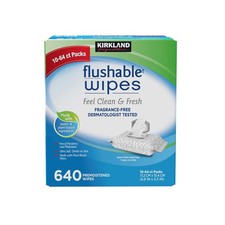 640 Count Kirkland Signature Premoistened Flushable Wipes, Fragrance Free