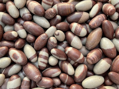 1 Zoll Shiva Lingam Stein, kleine Shiva Lingam heilige Steine, Großhandel Großpackung Posten - Bild 10 von 11