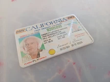 Back to the Future [ Doc Emmett Brown - Time Travel License ] - B3G1F