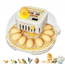 Egg Incubators for Hatching Eggs,12 Egg Incubator with Auto Egg Turning Humidity