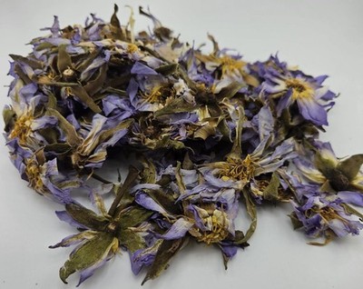 Egyptian Blue Lotus Authentic 100% (Nymphaea Caerulea)