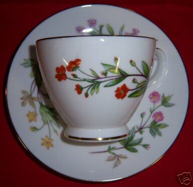Minton MEADOW Cup and Saucer - Picture 1 of 1