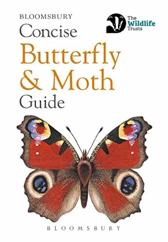 Concise Butterfly and Moth Guide (Concis..., Bloomsbury - Picture 1 of 2