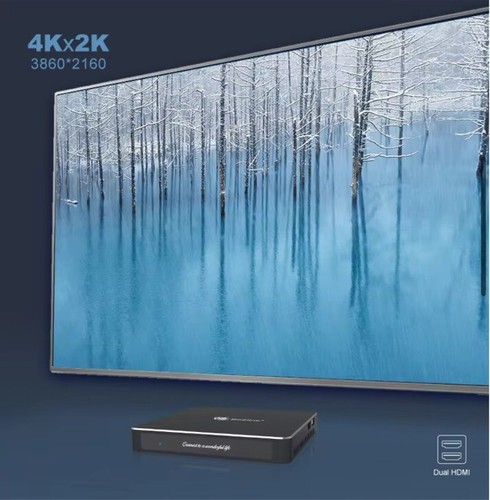 Beelink Gemini T45 mini pc J4205 CPU 8G128G with wall mount mini pc - Picture 5 of 11