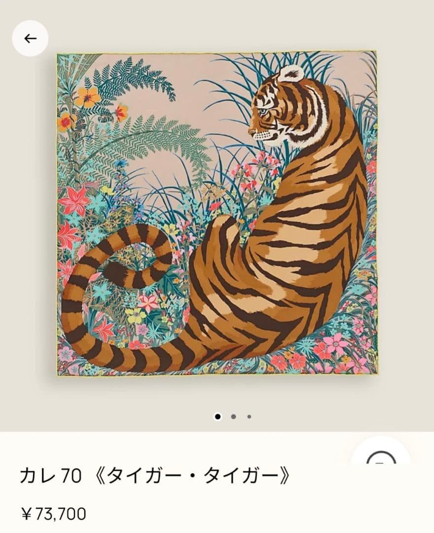 Tyger tyger - Hermès Scarf Details | Scarf Sage