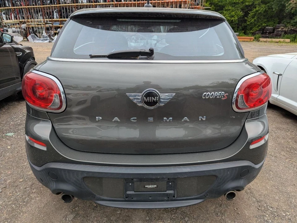 (LOCAL PICKUP ONLY) Passenger Right Front Door Fits 13-16 PACEMAN 782563 Foto 4 de 4