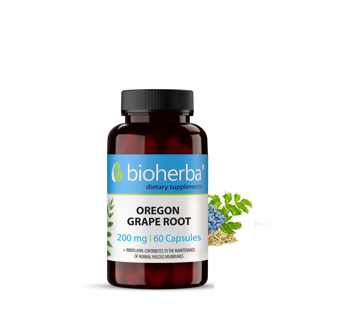 Oregon Grape Root 200mg-Dietary supplement for  Detox Liver, Digestive system