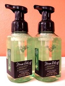 Details About 2 Bath Body Works Eucalyptus Spearmint Gentle Foming Hand Soap Wash 875 Oz