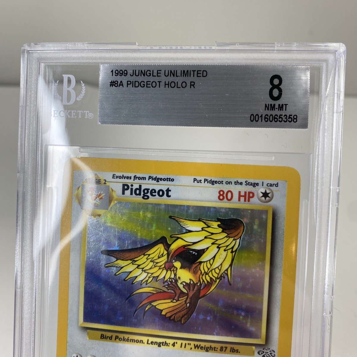 1999 pidgeot pokemon card - (14) - Base Set 2 Stage 1 1999 Pokemon Jungle #8 Pidgeot