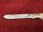 Case 2007 Life Member Annual Club Knife Honey Brown Bone Moose 6275 L4210 — photo 7