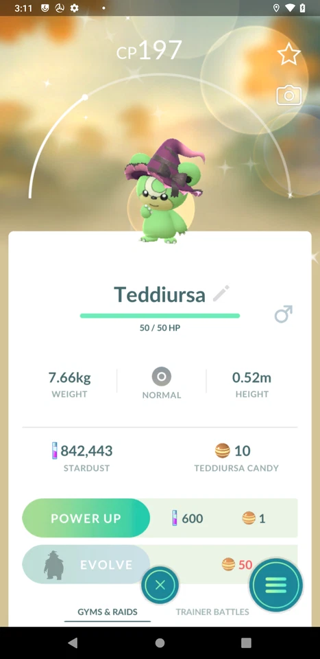 Glänzende Teddiursa mit Hexenhut | Tr-de 20k Sternenstaub oder Mini P T C