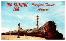 TOURIST ATTRACTION SCENE Petrified Forest National Park Arizona AZ a/01 AQ0128