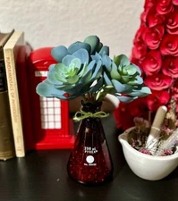 Artificial Succulent Flower Fake Plant Aeonium Science Teacher Decoration Gift