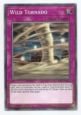Wild Tornado SDPL-EN032 Common Yu-Gi-Oh Card English 1st Edition New