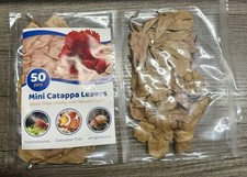 50 Pcs Mini Catappa Indian Almond Leaves for Betta Fish Aquarium, Shrimp, Frogs