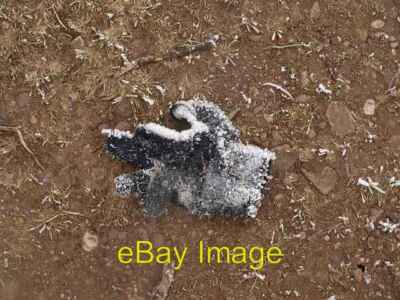 Foto 6x4 verlorener mattierter Handschuh Medlicott\/SO4094 jemand's kleine Hand c2009