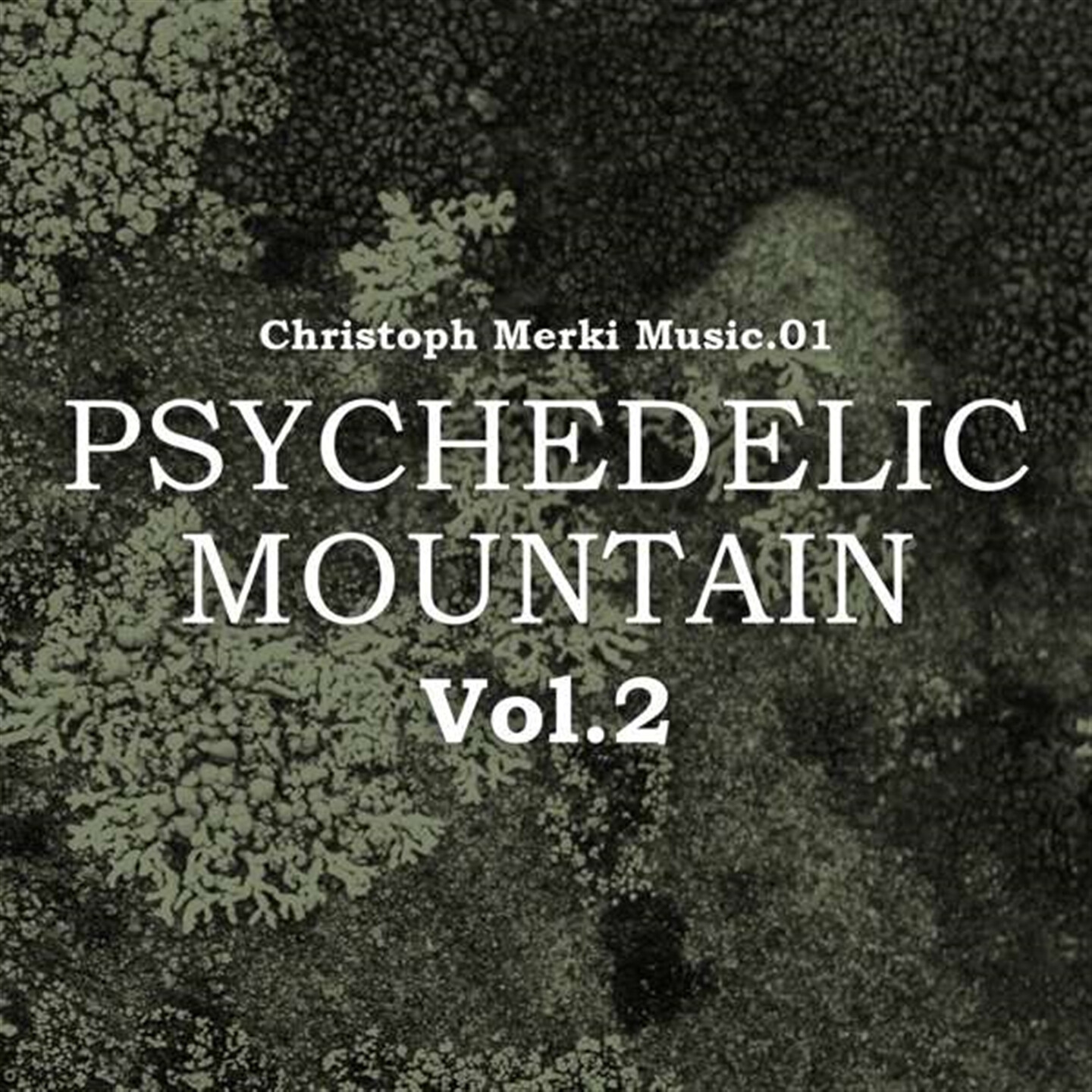 Christoph Merki - Psychedelic Mountain Vol.2