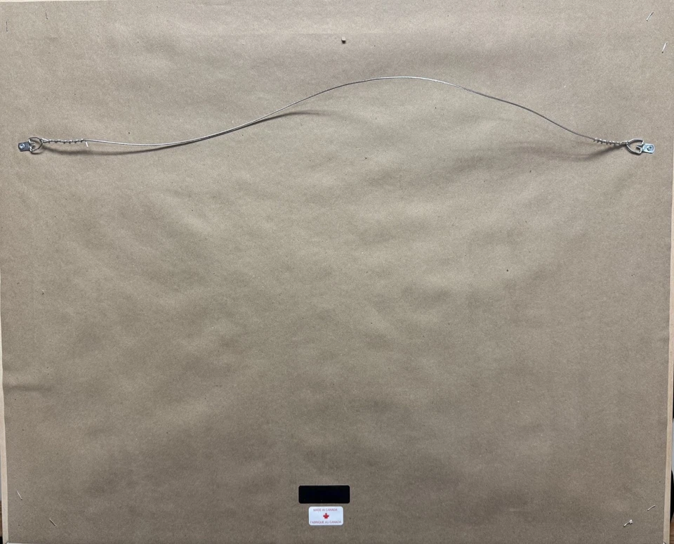 Cuadro Kyle Lowery, Toronto Raptors Championship 32" x 26" Foto 2 de 3