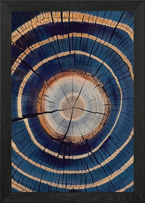 Blue Tree Rings Framed Wall Art Poster Canvas Print Picture