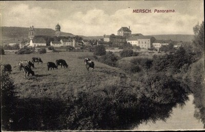 Postcard Mersch Luxembourg, panorama, cow pasture - 10923029