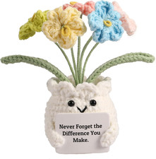 Forget-Me-Not Crochet Flower Potted Plant Gift