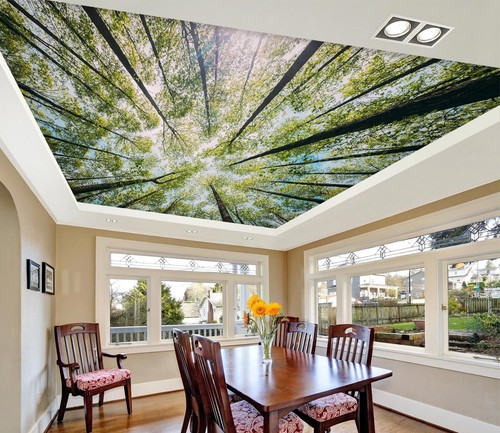 3D Tall Forest I5930 Ceiling WallPaper Murals Wall Print Decal Deco Erin 2023 - Picture 1 of 5