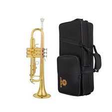 6331 Bb standard Trumpet for Beginner or Advanced Student Case Cloth Gloves B...